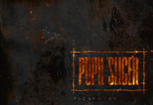 Pupil Slicer: Neues Album „Fleshwork“ erscheint im November © Pupil Slicer - Fleshwork