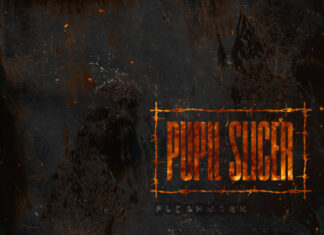 Pupil Slicer – Fleshwork © Pupil Slicer - Fleshwork
