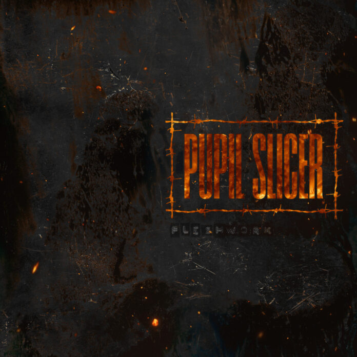 Pupil Slicer – Fleshwork © Pupil Slicer - Fleshwork