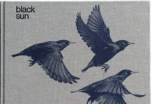 Søren Solkær – Black Sun