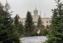 Snedronningen – Tivoli Kopenhagen – 30.11.2025