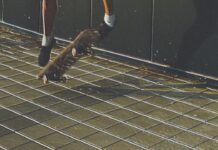 Jimmy Eat World veröffentlichen EP und teilen Video zu „Failure“