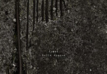 FJØRT kündigen mit „’43“ ihr neues Album „belle époque“ an © Fjørt - belle époque