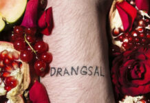 Drangsal feiern 10 Jahre „Harieschaim“: Exklusive Jubiläumstour durch sechs deutsche Städte Drangsal - Harieschaim