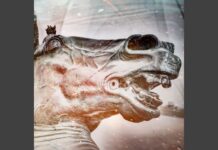 Gros Enfant Mort veröffentlicht neue Single „Étranger à la Terre“