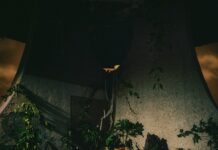 The Plot In You kündigen ihr selbstbetiteltes Album an – Neuer Track und Video zu „You Get One“ The Plot In You - The Volume Series