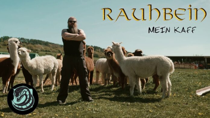 Rauhbein veröffentlichen neue Single „Mein Kaff“ Album cover: bearded man in black with arms crossed among alpacas in a sunny pasture, with 'Raubbein' and 'Mein Kaff' at the top.