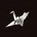 coldrain - OPTIMIZE = OPTDEMISE