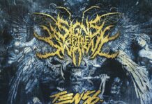 Signs Of The Swarm kündigen Headliner-Tour durch Europa und UK an Signs Of The Swarm Tour 2027