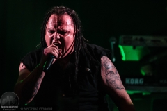 Aeverium - Out of Line Weekender 2017