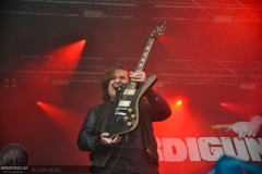 BRDigung - Rock am Stück 2019