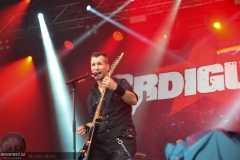 BRDigung - Rock am Stück 2019