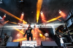 Cypecore - Castle Rock 2018 Cypecore - Castle Rock 2018