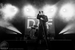 DAF - M'era Luna 2017