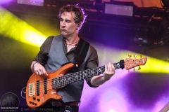 D’Artagnan - Feuertal 2017