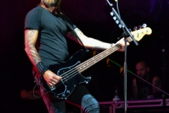 Frei.Wild - Pfeffelbach Open Air 2019