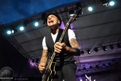 Frei.Wild - Pfeffelbach Open Air 2019