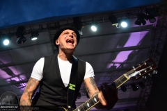 Frei.Wild - Pfeffelbach Open Air 2019
