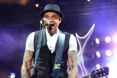 Frei.Wild - Pfeffelbach Open Air 2019