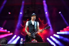Frei.Wild - Pfeffelbach Open Air 2019