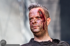 Heimataerde - Casle Rock 2018