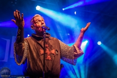 Heimataerde - Black Castle Festival 2018