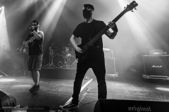 Janus - Amphi Festival 2019