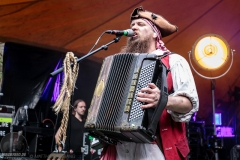 Mr. Hurley & Die Pulveraffen - Feuertal 2017