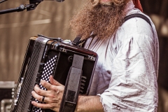 Mr. Hurley & die Pulveraffen - Feuertal Festival 2019