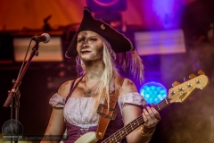 Mr. Hurley & die Pulveraffen - Feuertal Festival 2019