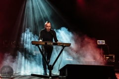 Solar Fake - E-Tropolis 2017