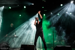 Solar Fake - E-Tropolis 2017