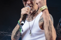 Stahlmann - Amphi Festival 2017