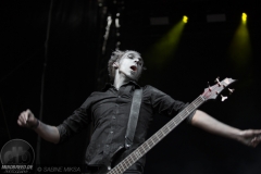 Stahlmann-Walpurgisschlacht_2017-03