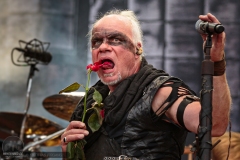 Subway to Sally - M'era Luna 2019